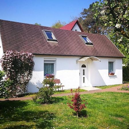 Ferienhaus Im Igelbau バーベ エクステリア 写真