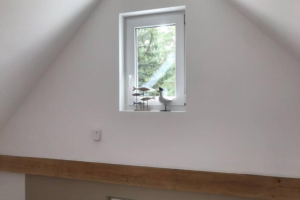 Ferienhaus Im Igelbau バーベ エクステリア 写真