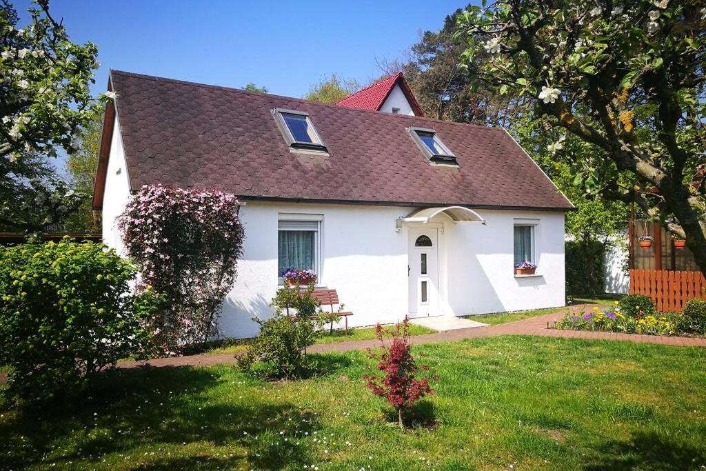 Ferienhaus Im Igelbau バーベ エクステリア 写真